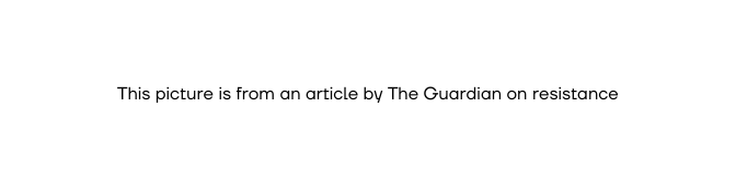 This picture is from an article by The Guardian on resistance